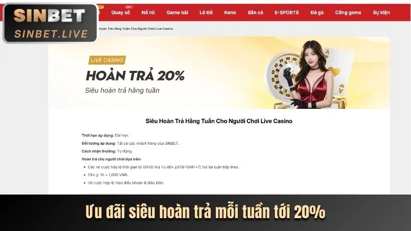 Hình ảnh các ưu đãi ace88